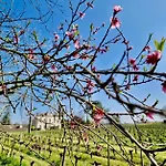 Chateau Clos Des Maurins 3* Vérac