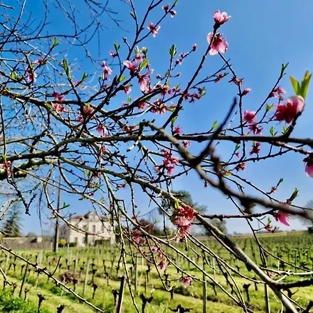 Chateau Clos Des Maurins 3* Verac