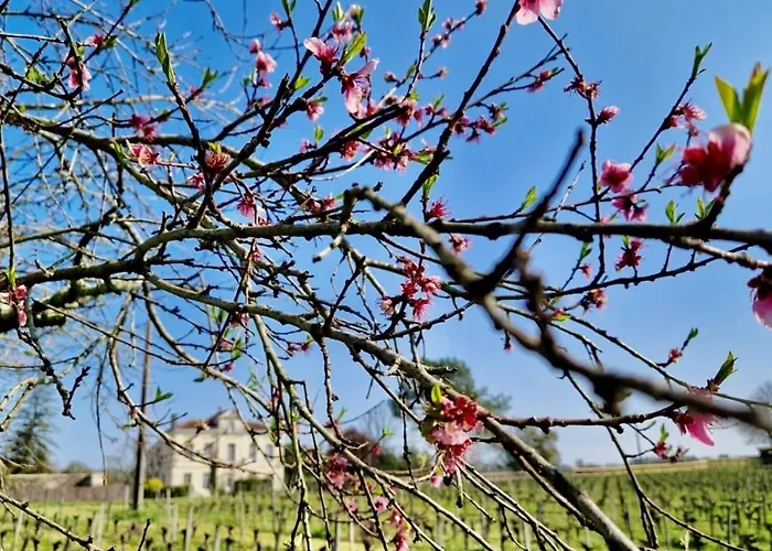 Chateau Clos Des Maurins 3* Vérac